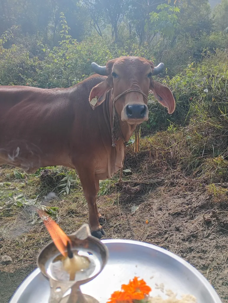 Pooja rituals